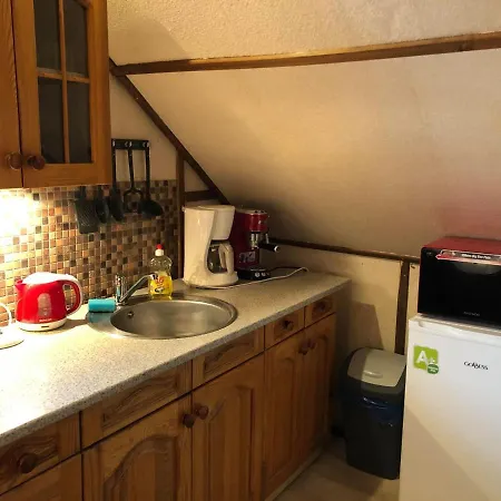 U Kocoura Pod Klinovcem Apartment *